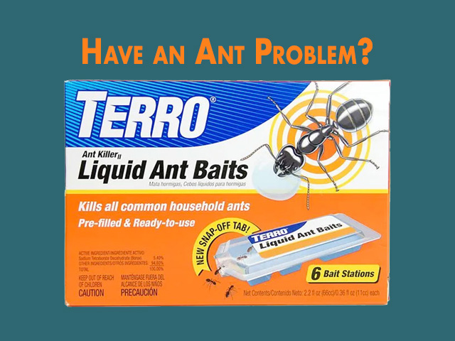 Have an Ant Problem?